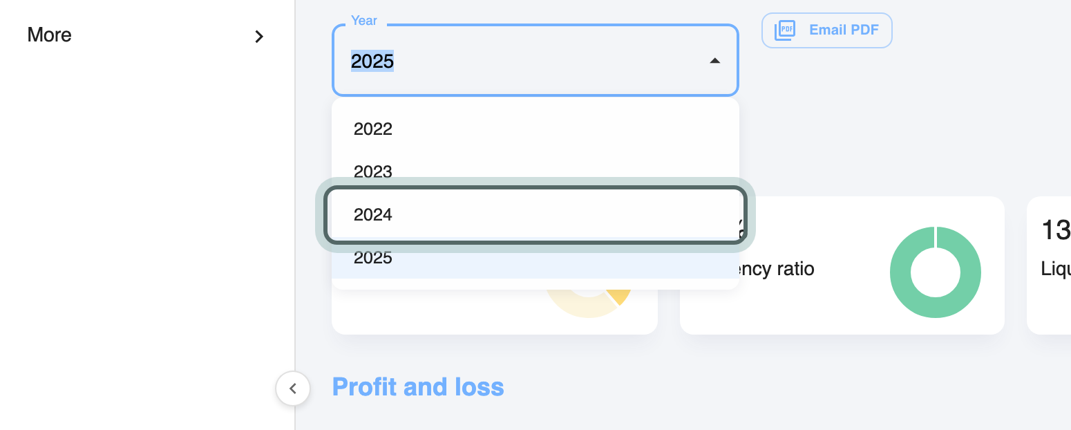The Year picker open, listing the years with filed accounts, 2022 to 2025, with 2024 highlighted.